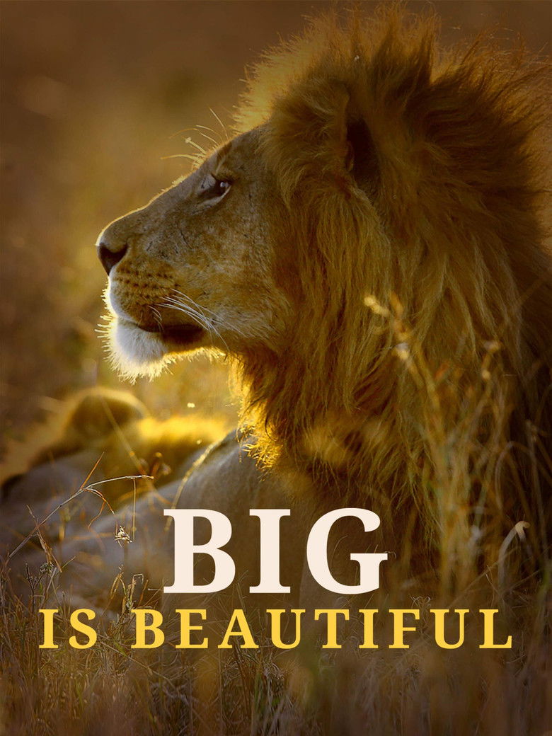 Big is Beautiful (2017) Big is Beautiful