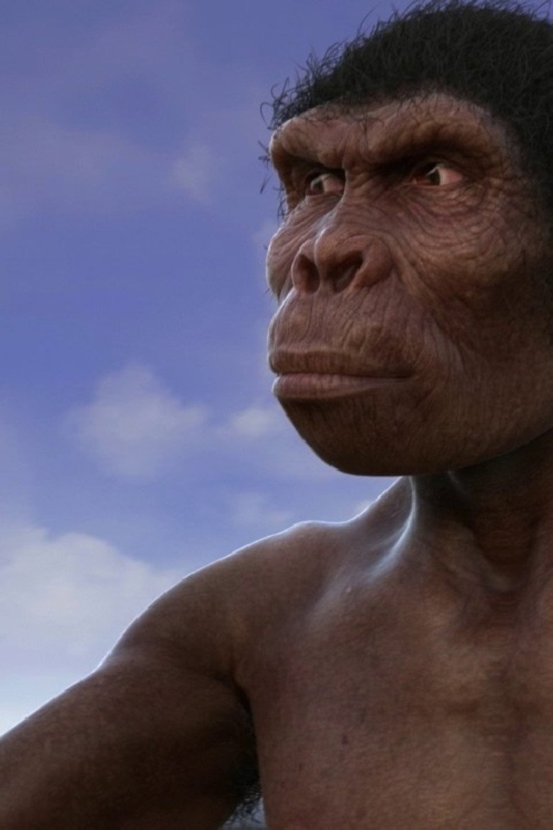 Evolution from ape to man (2017) Эволюция от обезьяны к человеку