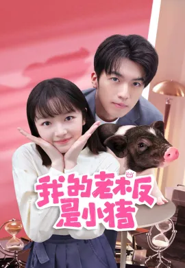 My Piggy Boss (2024) หัวหน้าฉันเป็นหมูน้อย ซับไทย Ep1-4