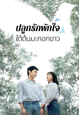 The White Olive Tree (2025) ปลูกรักพักใจ ใต้ต้นมะกอกขาว ซับไทย Ep1-38