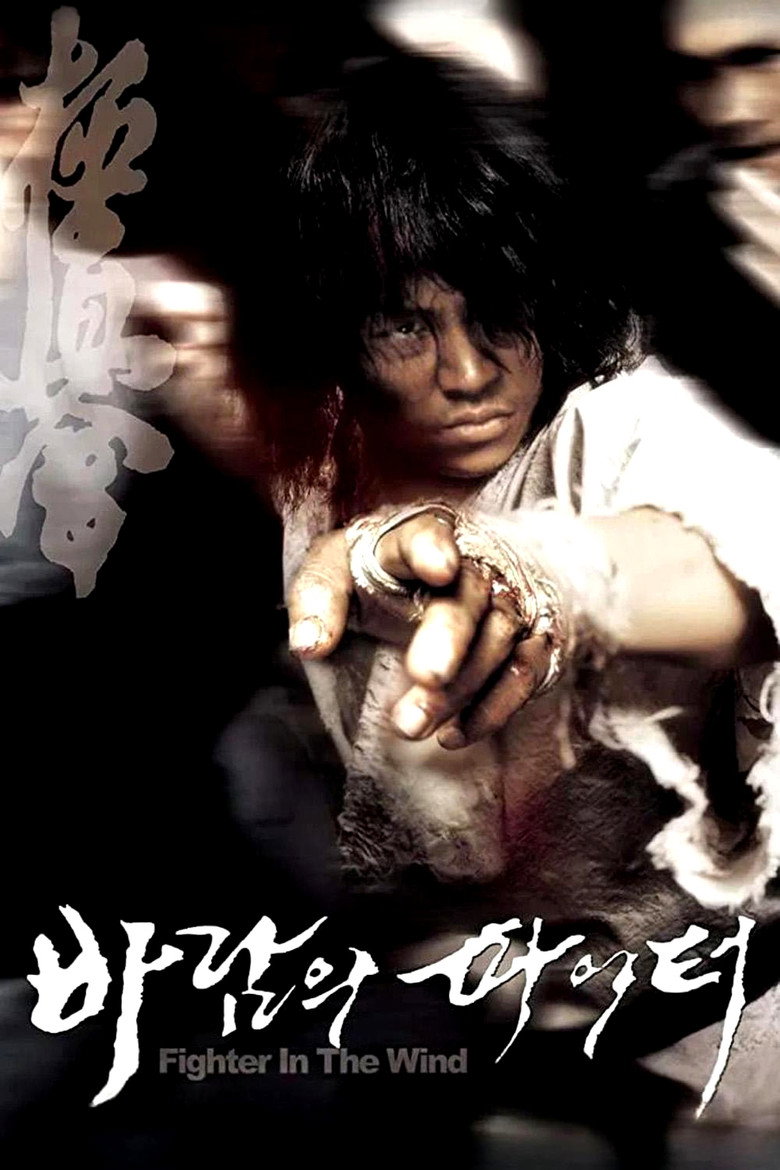 Fighter in the Wind (2004) 바람의 파이터