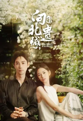 Xiangbei Regret (2024) เกสต์เฮาส์เยียวยารัก ซับไทย Ep1-20